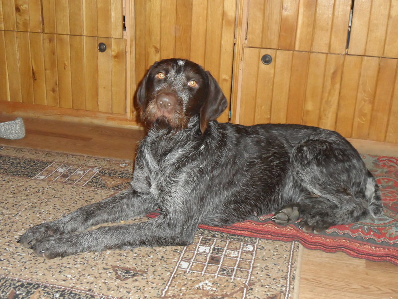 SAM_1457.JPG