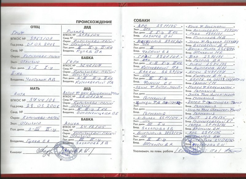 Scan00012.jpg