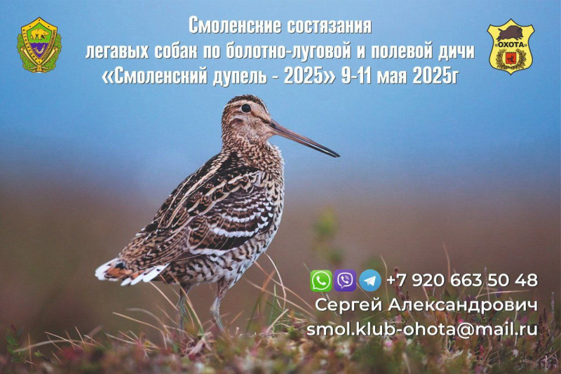 Изображение WhatsApp 2025-04-28 в 16.23.50_9e166e3a.jpg