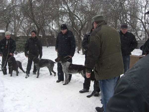 средняя.jpg