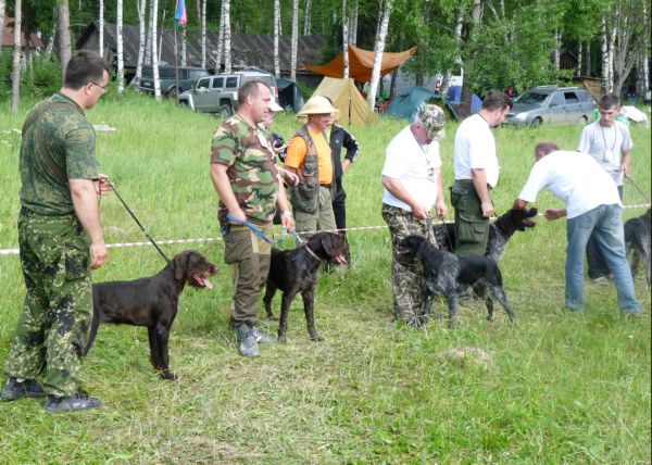 проверяем зубки.JPG