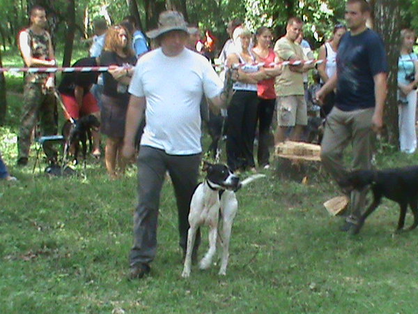 DSC00085.JPG