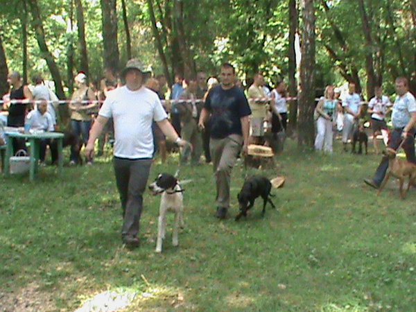DSC00089.JPG