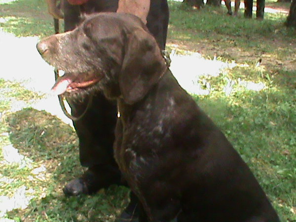 DSC00101.JPG