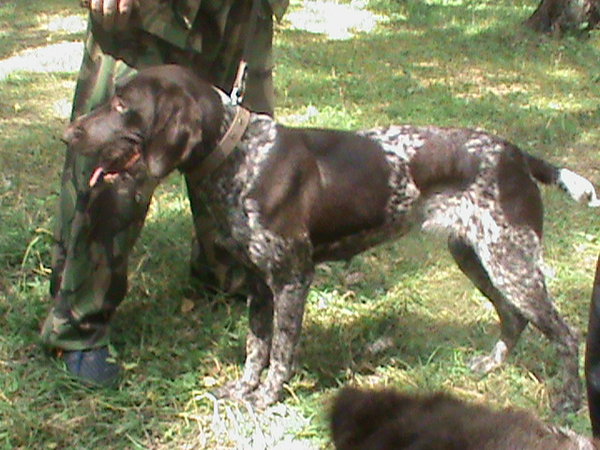 DSC00106.JPG