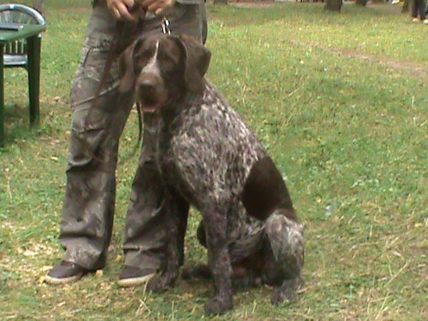 DSC00107.JPG