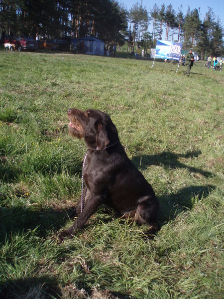 Тверь 2007 032.jpg