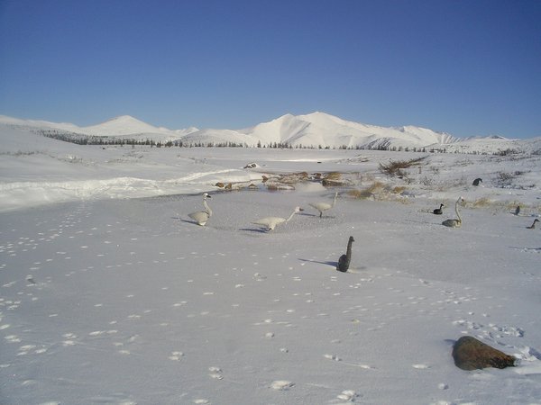S4022298.JPG