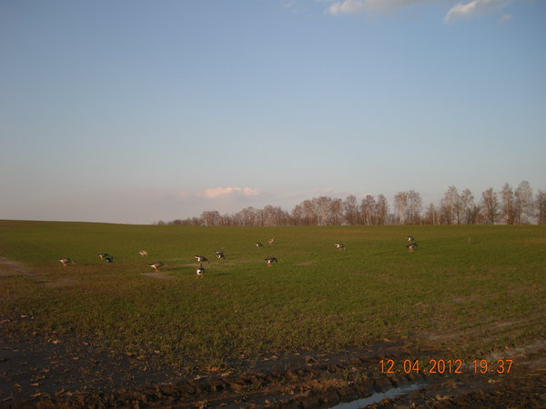 DSCN2754.JPG