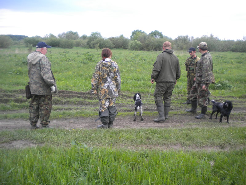 DSCN3528.jpg