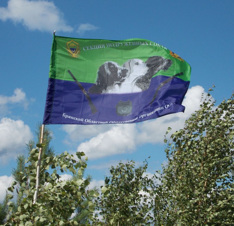 Состязания Пенза. 010.jpg