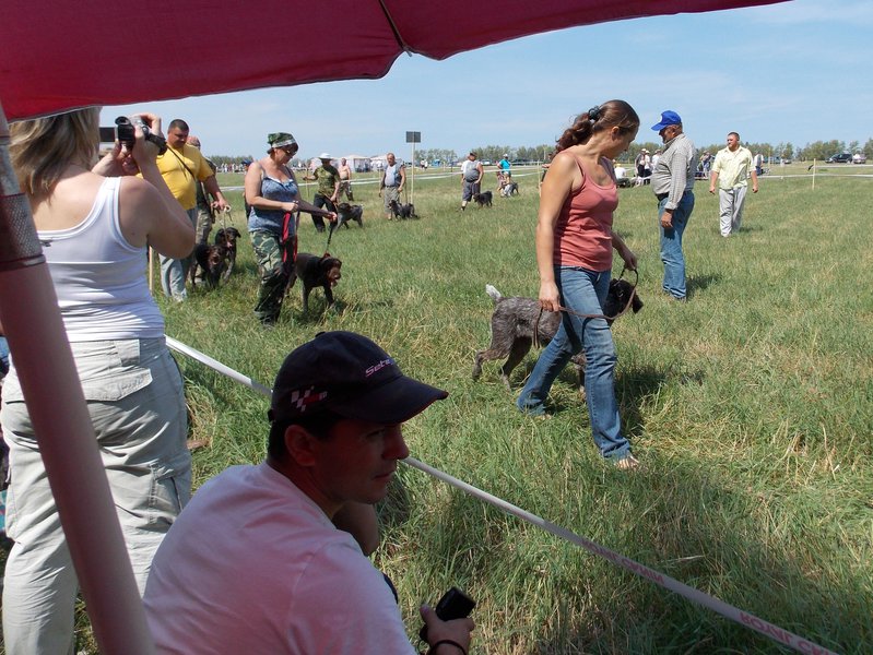 Всероссийская выставка г.Тула 2012. 026.jpg