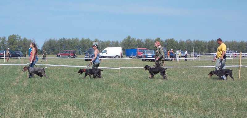 Всероссийская выставка г.Тула 2012. 027.jpg