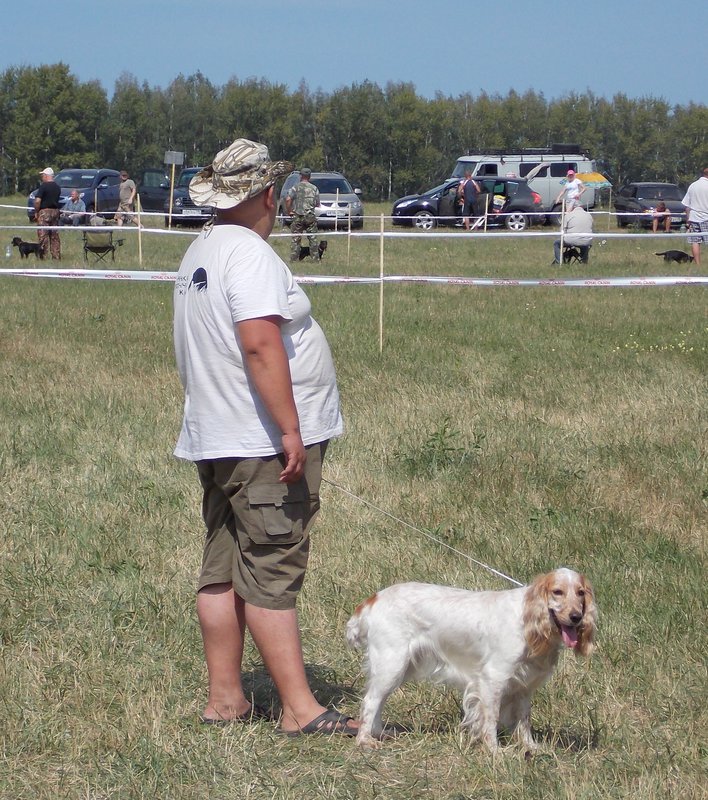 Всероссийская выставка г.Тула 2012. 041.jpg