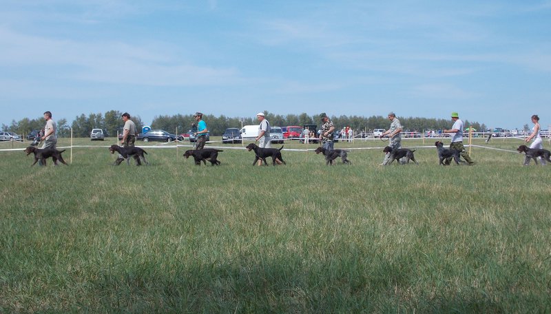 Всероссийская выставка г.Тула 2012. 056.jpg