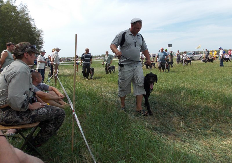 Всероссийская выставка г.Тула 2012. 058.jpg