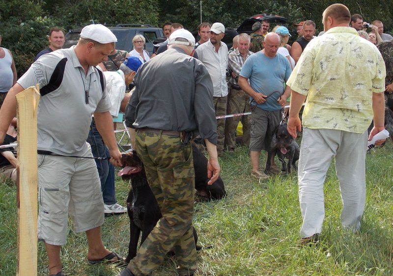 Всероссийская выставка г.Тула 2012. 061.jpg