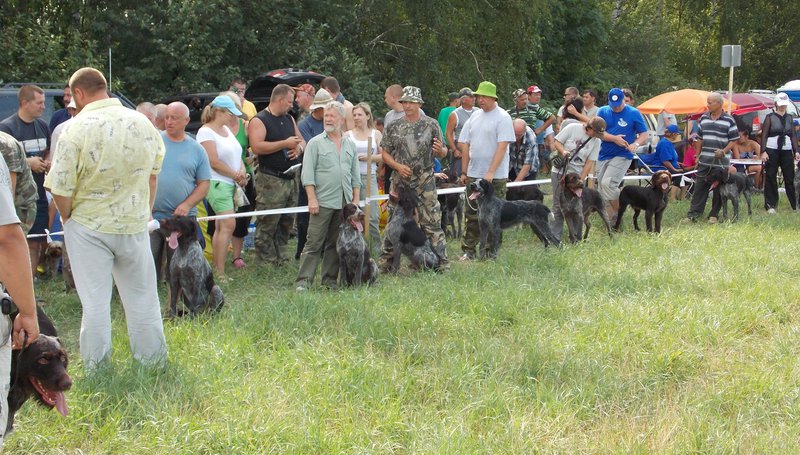 Всероссийская выставка г.Тула 2012. 062.jpg