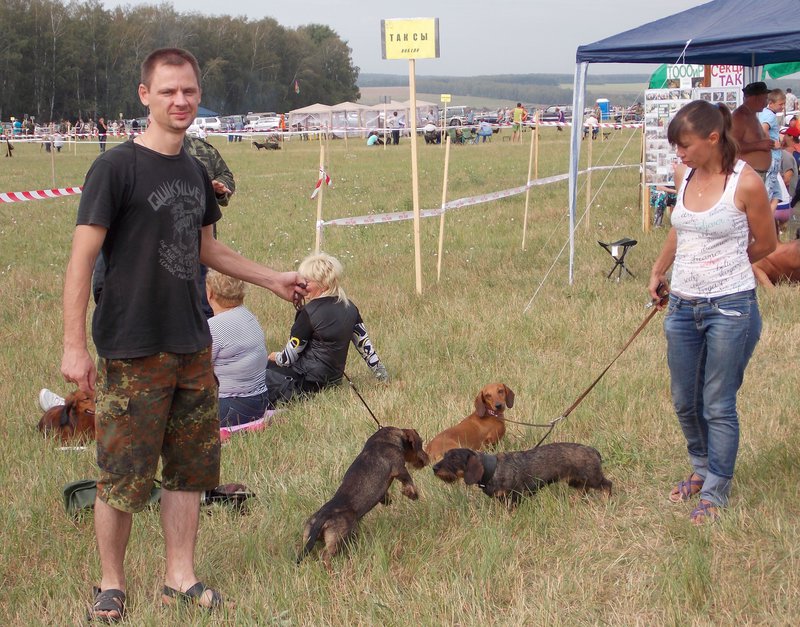 Всероссийская выставка г.Тула 2012. 072.jpg