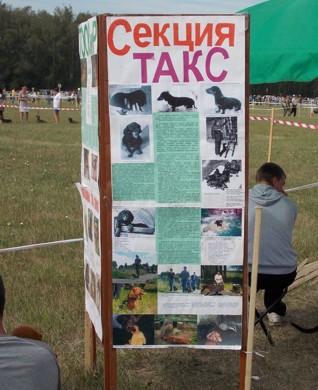 Всероссийская выставка г.Тула 2012. 074.jpg