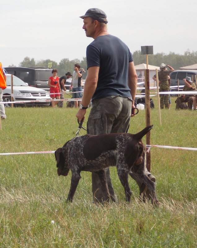 Всероссийская выставка г.Тула 2012. 086.jpg