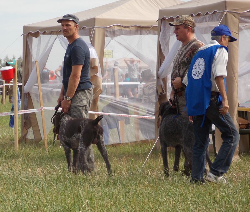 Всероссийская выставка г.Тула 2012. 088.jpg