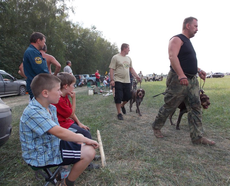 Всероссийская выставка г.Тула 2012. 097.jpg