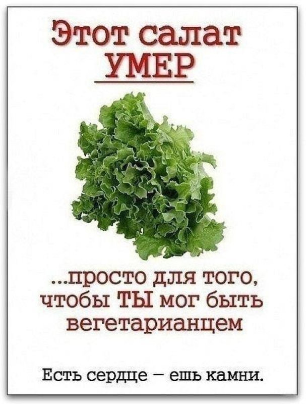 Вегетарианец.jpg