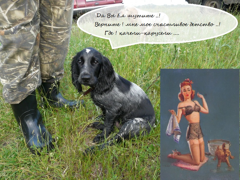 собака унывака дпресняка 2.jpg